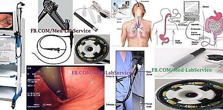 Endoscope