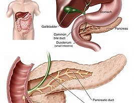 All You want to know about Acute Pancreatitis