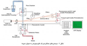  فلوسیتومتر