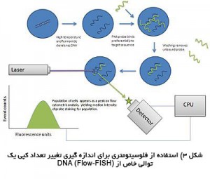  فلوسیتومتری