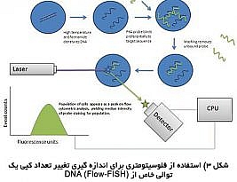 فلوسیتومتری